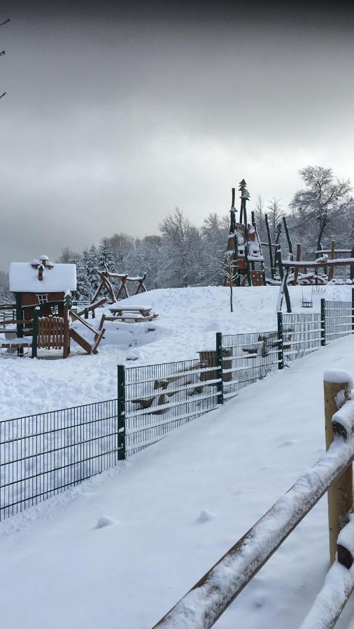 Appartement An Der Erlebniskappe Mit Fahrradkeller Winterberg Kültér fotó