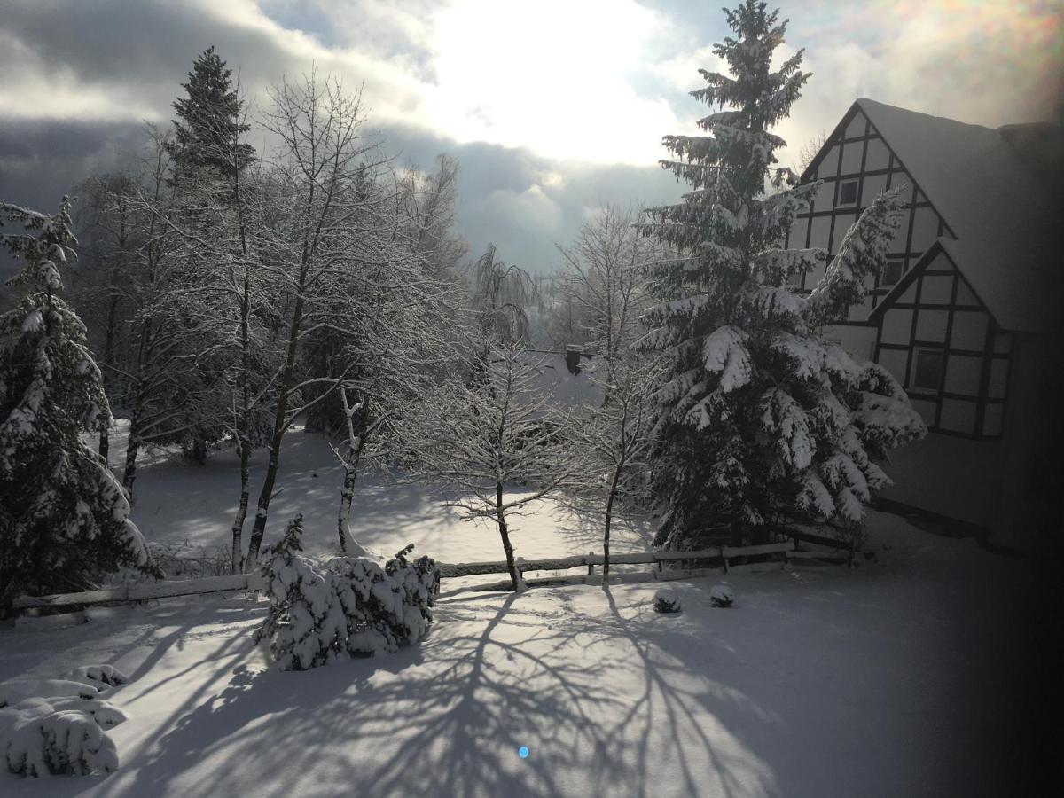 Appartement An Der Erlebniskappe Mit Fahrradkeller Winterberg Kültér fotó