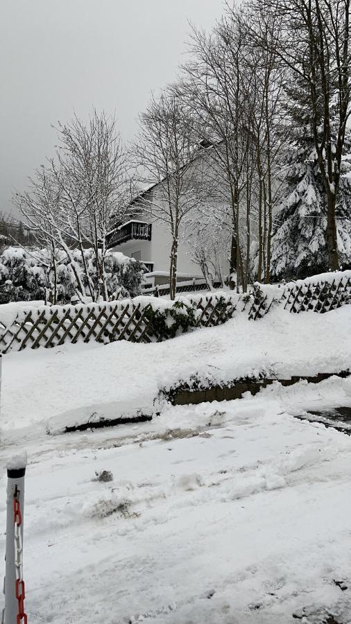 Appartement An Der Erlebniskappe Mit Fahrradkeller Winterberg Kültér fotó