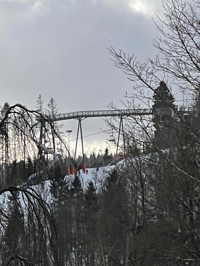 Appartement An Der Erlebniskappe Mit Fahrradkeller Winterberg Kültér fotó